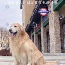 如果我能说了算