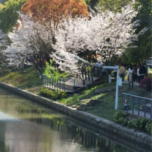 VOL.017 那些让我们觉得和这个城市很熟的瞬间