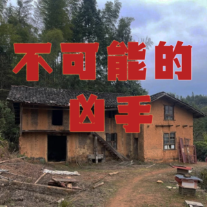 难以置信！不可能的凶手！