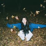 狗不听我听