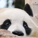 北溟有啥