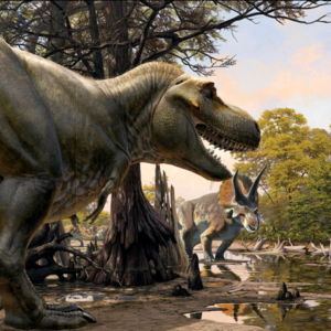 宁蒙LEM播客：霸王龙智力与其他物种比较