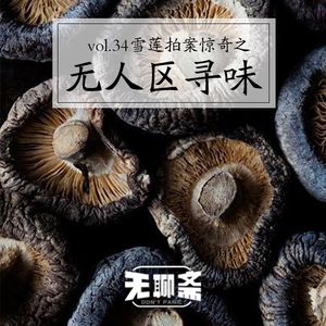 vol.34 雪莲拍案惊奇之无人区寻味