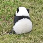 方方反反复复