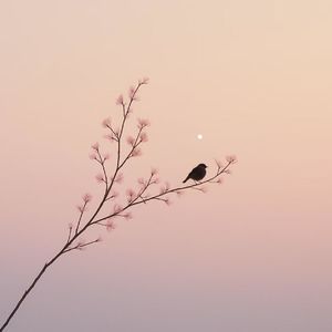 8. 高敏感是天赋,过度解读才是劫难|对话教练Yuki