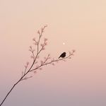 08. 高敏感是天赋，过度解读才是劫难｜对话教练Yuki