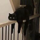周五_eOeg