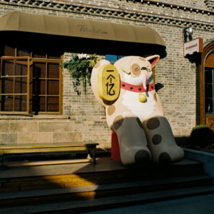 EP106 通过截面观察改进风险预测