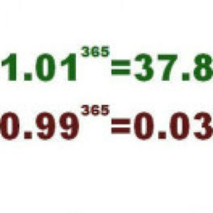 「苔藓花园」英伟达的编年史与城墙