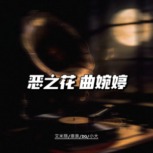 曲婉婷：靠500个家庭血泪堆砌的“云孝女”【奇案杂谈69】