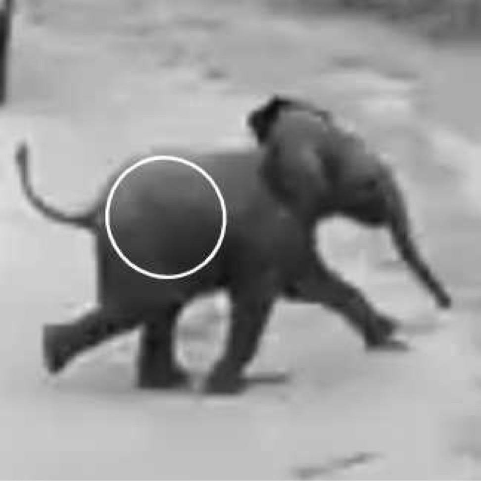 特辑 施展 张新刚 梁文道 逆全球化真的已经来了吗 东腔西调 小宇宙 听播客 上小宇宙