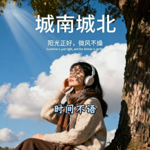 城南城北：NO.260008《时间不语》