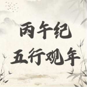 丙午纪·五行观年·水|水日主最动荡的一年，机会和风险同时出现