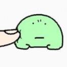 叶绿素蛙