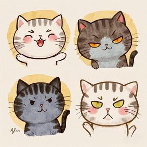 猫姐和她的宝藏朋友