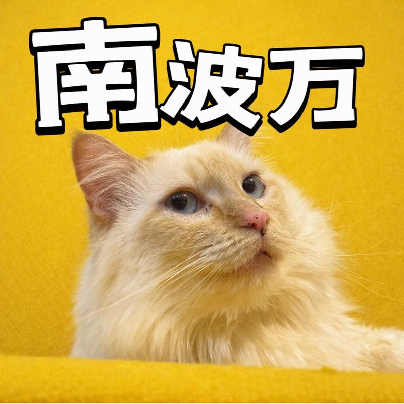 15. 丈量大地，在流动中存在｜对话北美长途卡车司机