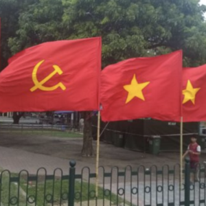 Vol. 42 刚集两权于一身的苏林访华,越南为何总对中国那么拧巴?