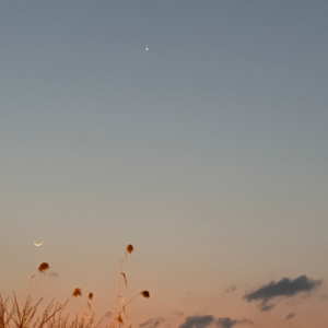 单曲循环E02 Cool With You