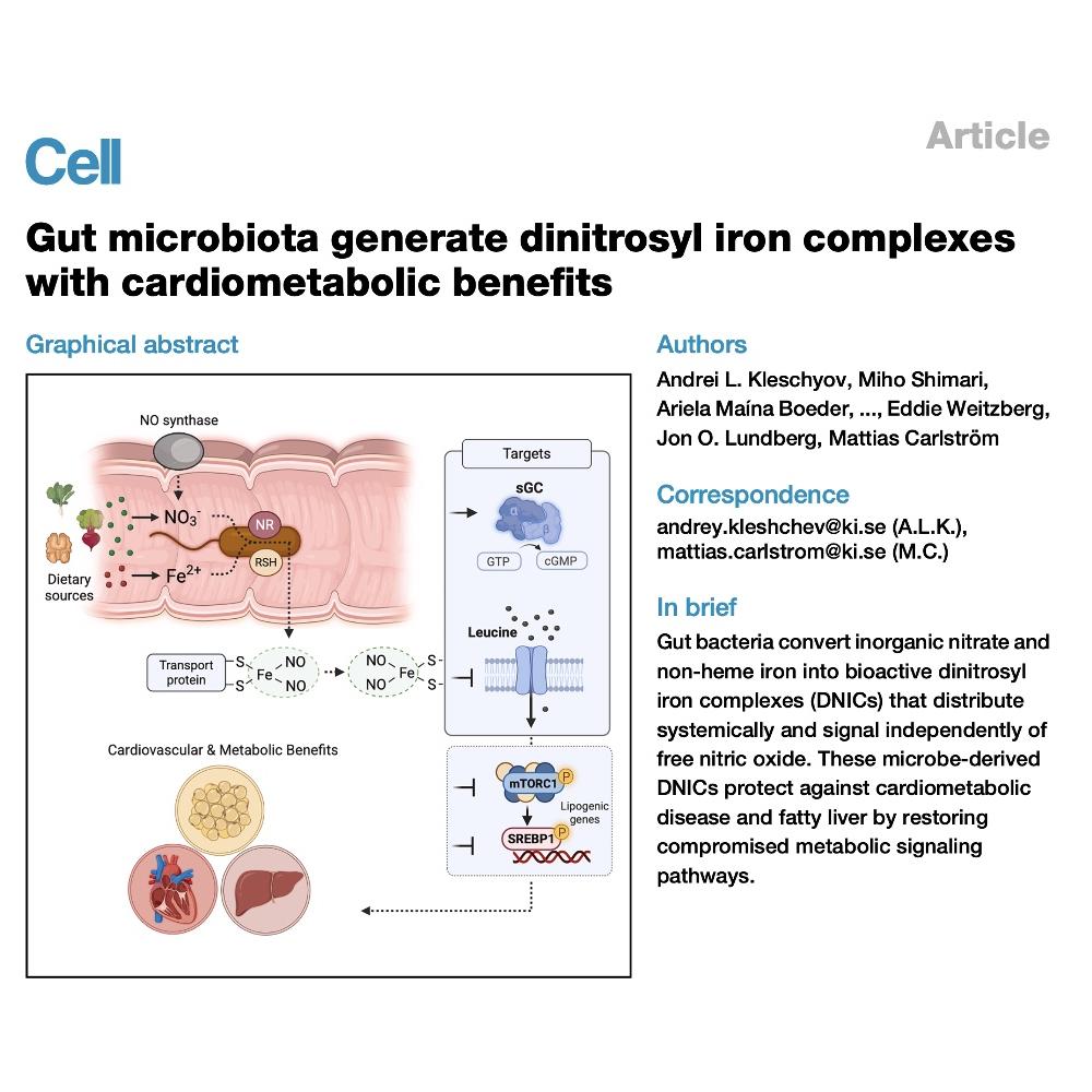 1570-Microbial Synthesis for Cardiometabolic Health episode artwork
