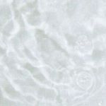 abbiilana011