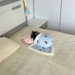 Eva_tsyD