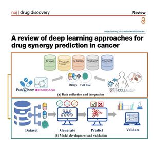1136-Deep Learning Architectures for Drug Synergy Prediction
