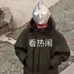一只叫蛋黄的狗