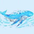 Hao姑娘-光芒万丈