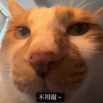 昵称不符合规定