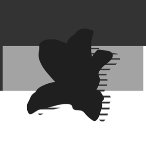 04 聊聊日本的女性摄影师|怎么看照片 |摄影师推荐 |打破主流叙事