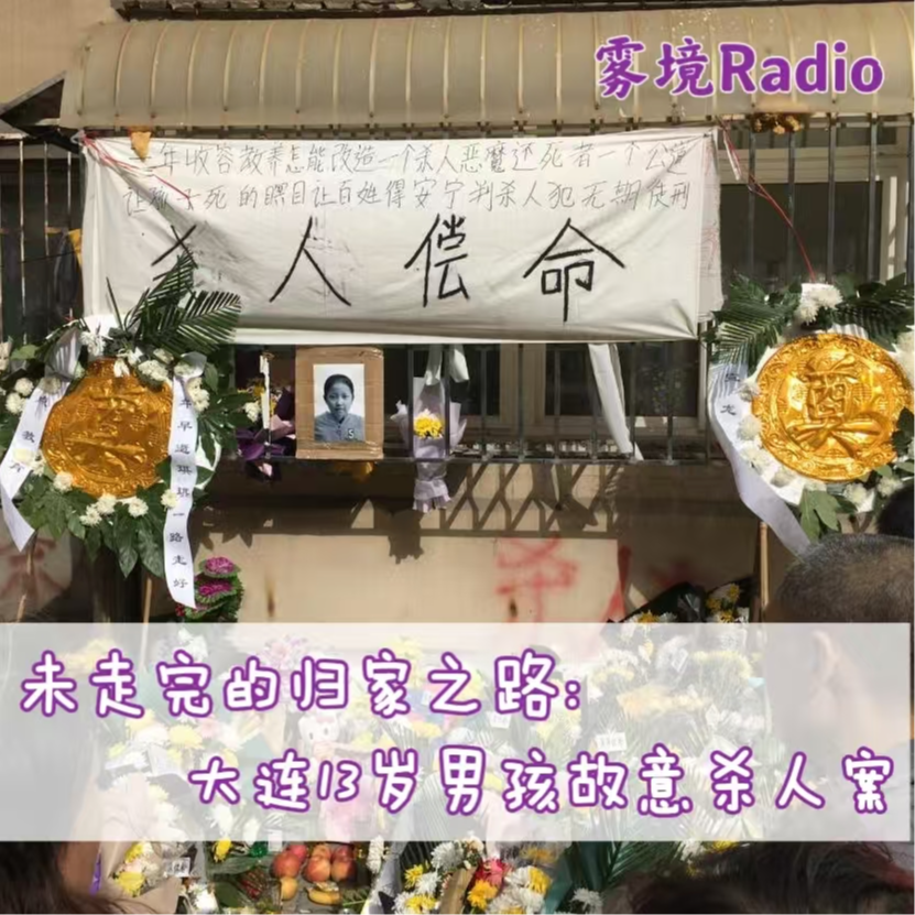 8.未走完的归家之路——大连13岁男孩故意杀人案 episode artwork