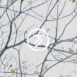 podcaster-avatar