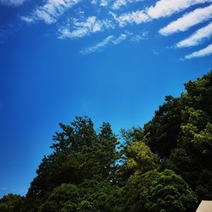 浮生半城
