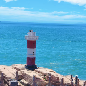 18.为张新成喝彩，在东极岛暴晒，在普陀山吃素斋：小阳姐的追星与朝圣之旅