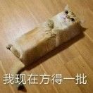 放的一批