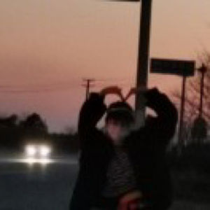 关山月 （陆游）