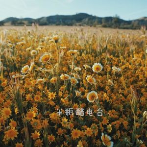 周五就该这么过啊~