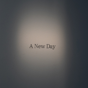 姗姗来迟的2025年度总结