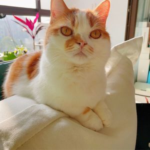 podcaster-avatar