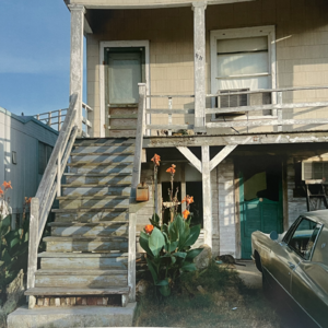 10.摄影门外汉的一次乱翻书，游荡在别人的街道风景里，阳光松饼屋和夏日美人蕉