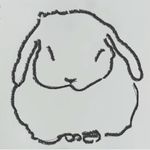 兔兔呆子