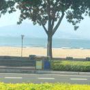 阳光下的小蘑菇呀