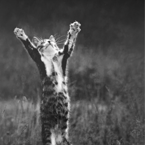 我们真的能毫无波澜地祝福别人的成功吗?