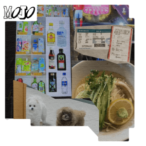 005 收藏的不是物品，是那些具体的瞬间...