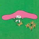 聚乙烯基吡咯烷童