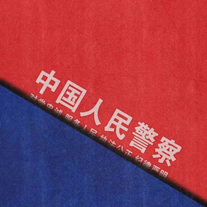 vol49：门把上的血手印：图里河派出所教导员灭门案