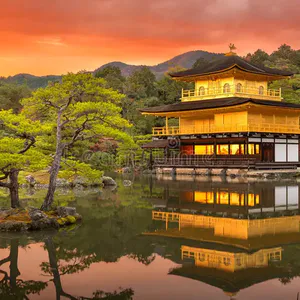 S4,Ep 6轻轻见面:《金阁寺》, 还有人的班比沟口更难上吗？