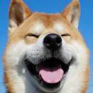 民俗之王(闽南地区)