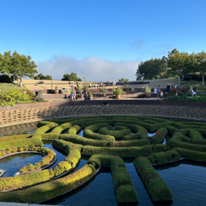 EP38《纳瓦尔宝典》财富篇：普通人的自我产品化