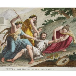 【睡前故事】44 变成野猪的彭透斯